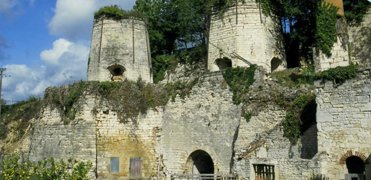 Bed and Breakfast Le Perchoir Nocturne Payre-sur-Vendee Exterior foto